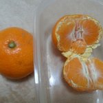 [EXO] [<b>도아</b>주세요]자고일어낫더니 귤이되엇습니다