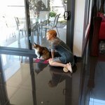 [블랙핑크] <b>채영</b>이ㅜㅜㅜㅜ