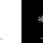 [EXO] 작년 몬스터 개 <b>망곡</b>이었다며 ㅋㅋ