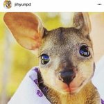 [EXO] ㅆ1발 작가새끼 <b>인별</b> 짹 모두 비공으로 돌림ㅅㅂ