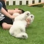 [EXO] 나만그럼? 난<b>약속</b>있을<b>때</b>