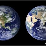 [조언부탁해] <b>봄웜</b>이랑 가을<b>웜</b>이랑 구별어떻게해?