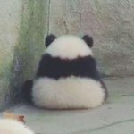 [댓글부탁해] 시켜먹을건데
