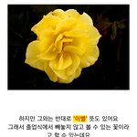 [방탄소년단] 이번 앨범 <b>졸업</b>컨셉이다