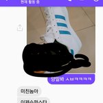 애들아 슈퍼스타 신고다니면 창피해?(<b>사진o</b>)