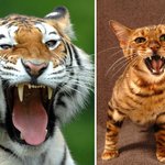 [댓글부탁해] <b>ebs</b>수1인강 추천 좀 해줘