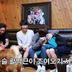 [댓글부탁해] <b>쿠쿠</b>크루 보는사람 다 들어와줘ㅠㅠ