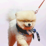 [댓글부탁해] 판녀들아 이런 애 어때ㅠㅠㅠㅠ?????