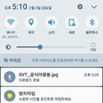 [세븐틴] 플디 파<b>일명</b>