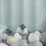 [댓글부탁해] 얘 캐릭터 이름 뭔지 아니??