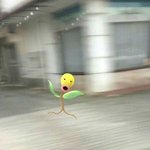 얘들아 오리진 회원가입 왜 안되는거야