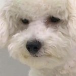 짝<b>남</b>이 내 <b>친구</b> 좋아하는 걸 오늘 알았음.....