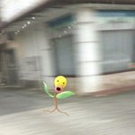 [EXO] 가취가욥~~이거 <b>원조</b> ㄴㄱ임?