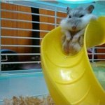 (글 추가했어) 내 <b>짝녀</b> ㅈㄴ귀여움ㅋㅋㅋㅋ 개설렌다