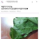 [EXO] 웃긴짤 가져왔음5/ 피식이라도 했다<b>vs</b>ㅈ노잼