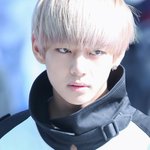 [방탄소년단] <b>시베리안</b> 허스키 같다