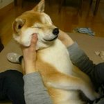 나 고2인데 <b>축제</b> 해본적없어 ㅠ