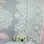 [EXO] 니네 <b>애착</b>인형있냐