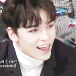 [세븐틴] 나만 외모 탑에 <b>버논</b>이 언급되는거 싫어?