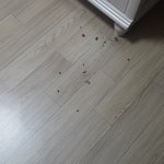[EXO] <b>우와</b> 정말 행복해