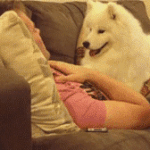 [EXO] @@야공부잘하는년ㄴ들아 모의고사수학빼고