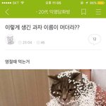 [하이큐] 1~11까지 생각하고 들어오셈 고른사진 니최애