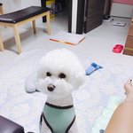 우리 짱구를 소개합니당 ~~ 2