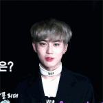 [EXO] 너네 몇 번째 질문하던년 기억나냐