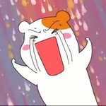 아 드디어 짝남이 남친이됐어!!!!!!