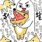 [조언부탁해] 만약에 니네 아이돌 연애하는거 들키면