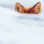 [조언부탁해] <b>자존</b>감 올리는 방법 좀 알려줘ㅠㅜㅠ