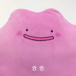 [세븐틴] 아6대