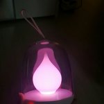 [세븐틴] ㅅㄷ발광 이<b>정도</b>만 됐으면 좋겠다는 <b>마음</b>에..