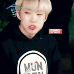 [세븐틴] <b>햄찌</b> + 권순영 = 권<b>햄</b><b>찌</b> 설
