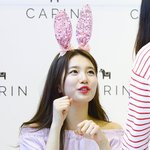 <b>토끼</b>상 고양이상 여돌 좀