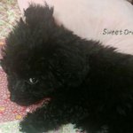 ㅅㅂ <b>동심</b>파괴(?)당함ㅜ뉴ㅠㅠ