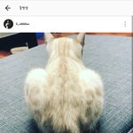 [모두드루와] 육성재 고양이 분양 받았는데 이름이ㅋㅋㅋㅋ