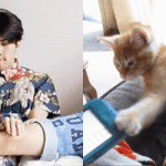 [EXO] 냥냥<b>펀치</b>