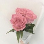 [댓글부탁해] 판녀들아 추반 해주라 제발ㅠㅠㅠㅠㅠㅠㅠㅠ