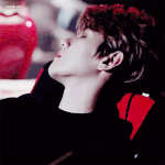 [백현] 잠자는 <b>숲속</b>의 백현왕자님이야?