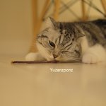 [유봉이네] 2016년 유봉이네 여름