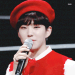 [세븐틴] ㅅㄷ 순영이 때문에 <b>동물</b> 키우고 싶어짐 ㅠㅠ