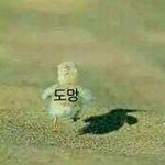 찍찍<b>이</b> 신발 교복이랑도 <b>잘</b> 어울리나??