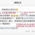 [EXO] 안티보다 더 한 세훈팬의 <b>망언</b>(웨이보발)
