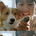 [드루와] 꿈에 이제훈 나왔어.............드루와
