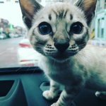 [드루와] 미친 <b>반배정</b> 개잘됐어