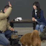 ㅋㅋㅋㅋ설현 강아지한테 당하는 <b>민아</b>