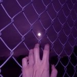 [드루와] 시그널 재밌게 본 사람