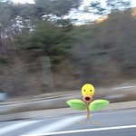 [드루와] 엑소 <b>포스터</b>랑 공카같은거 가질사람 있어ㅜㅜ?