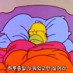 나학교<b>안감</b>